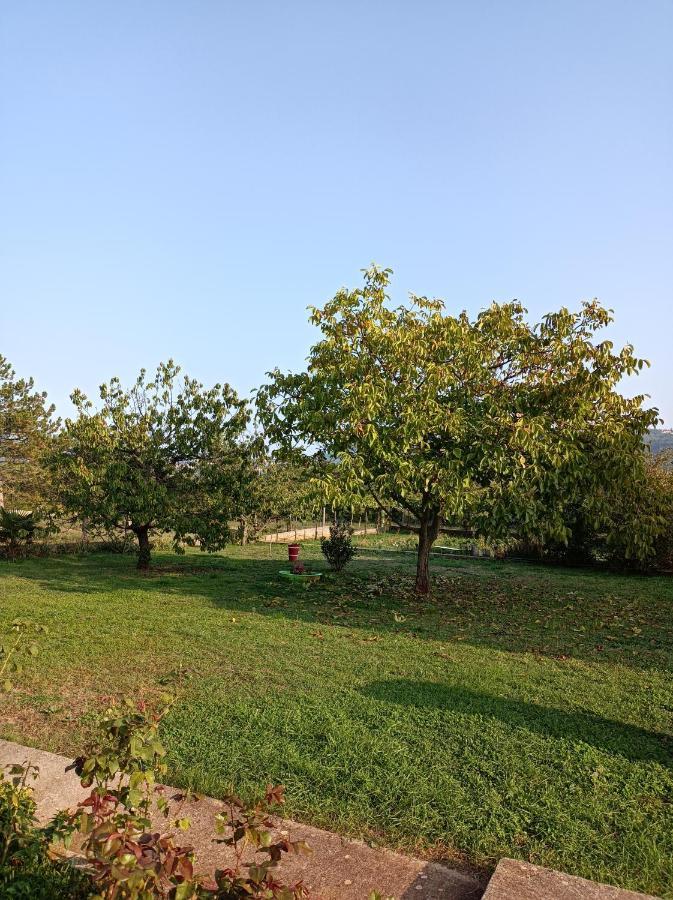 Biba Apartment Labin (Istria)