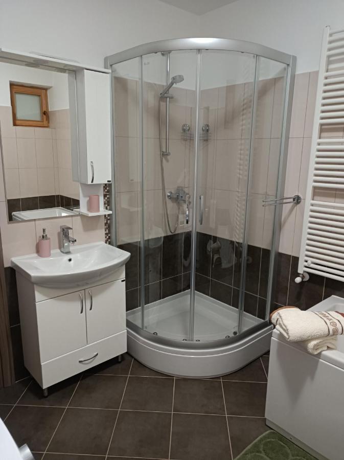 Biba Apartment Labin (Istria)
